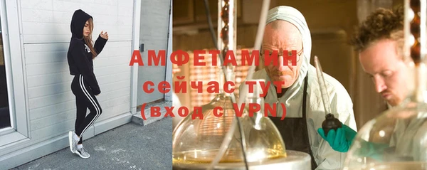 винт Вяземский