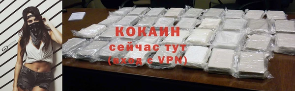 винт Вяземский