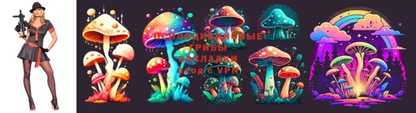 амф Вязники