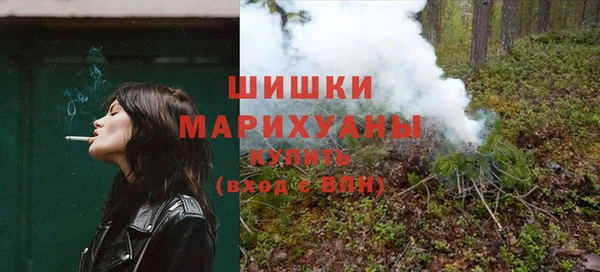 винт Вяземский