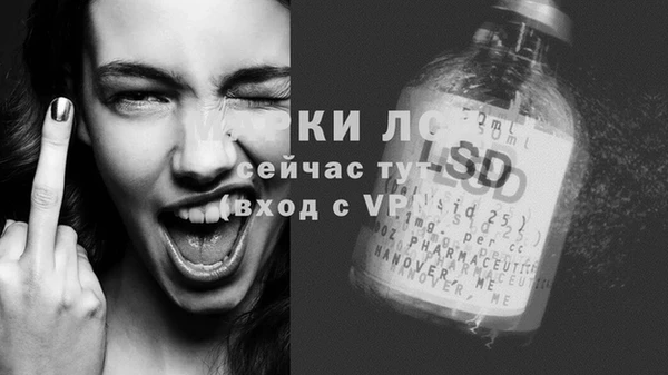 винт Вяземский