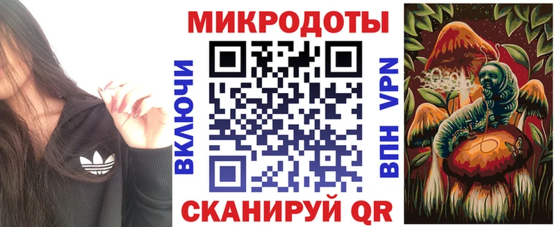 Псилоцибиновые грибы Psilocybe  Купить закладки  Липки 